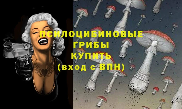 ГАЛЛЮЦИНОГЕННЫЕ ГРИБЫ Алексин