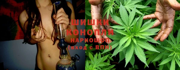 ГАЛЛЮЦИНОГЕННЫЕ ГРИБЫ Алексин